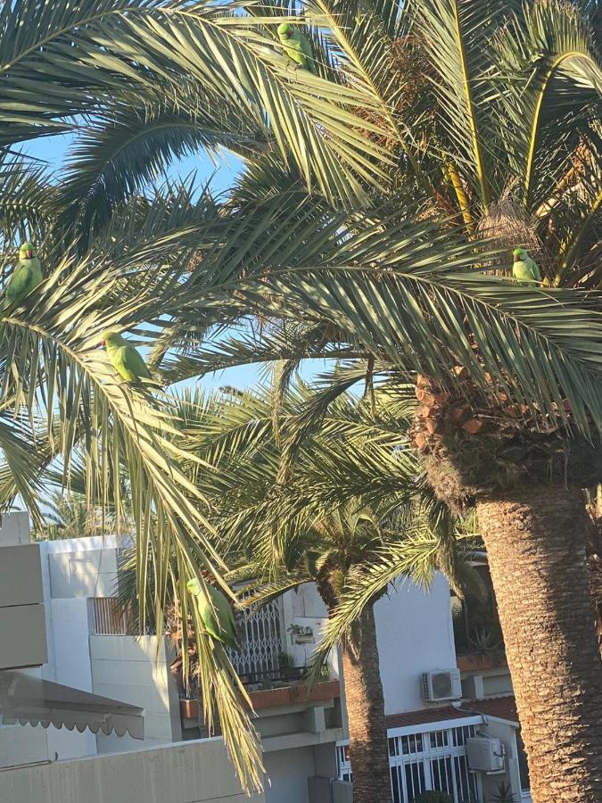 Lovely Apartment With Pool Costa Del Silencio Exterior foto